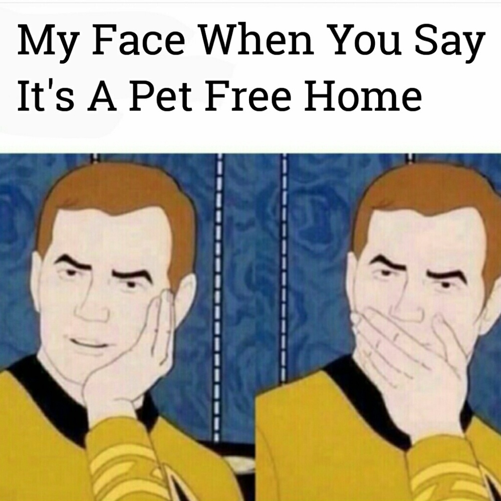 I'm soo Sorry